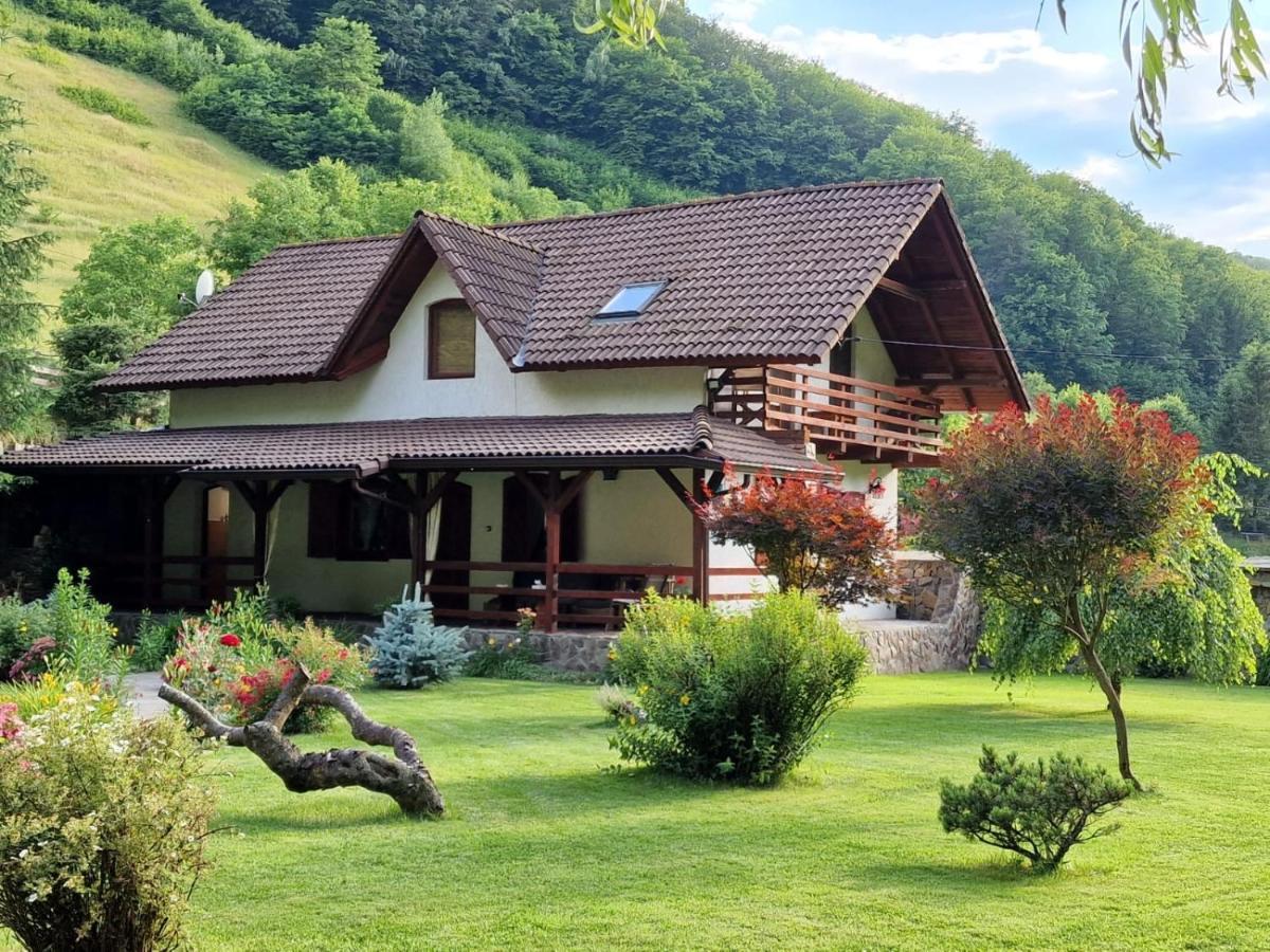 Casa De Piatra Villa Strungari Екстериор снимка