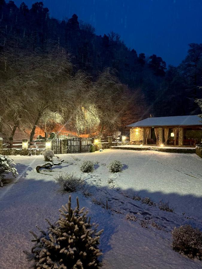 Casa De Piatra Villa Strungari Екстериор снимка