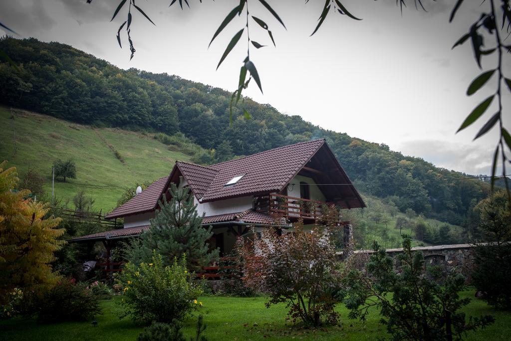 Casa De Piatra Villa Strungari Екстериор снимка