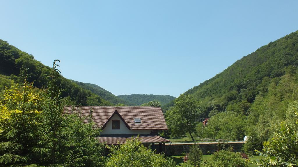 Casa De Piatra Villa Strungari Екстериор снимка